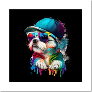 Colourful cool Malteser Terrier dog with sunglasses and Cap Posters and Art